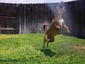 Big Leap